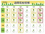 関東の花粉飛散　今年は「非常に多い」　今週は「多い」日も　3月は飛散ピークに