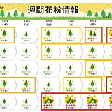 花粉週間　今週末から来週にかけて大量飛散も　スギ花粉ピーク期近づく　万全な対策を