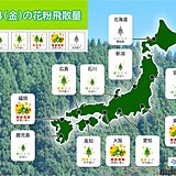 24日の花粉飛散予測　福岡など「非常に多い」　外出前・帰宅後も花粉対策を