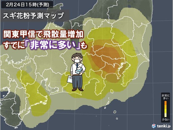 都心ですでに非常に多い花粉を観測　週明け大量飛散　スギのピーク迫る　万全な対策を
