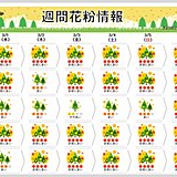 花粉情報　スギ花粉が最盛期　関東～九州は連日のように「大量飛散」　ピークいつまで