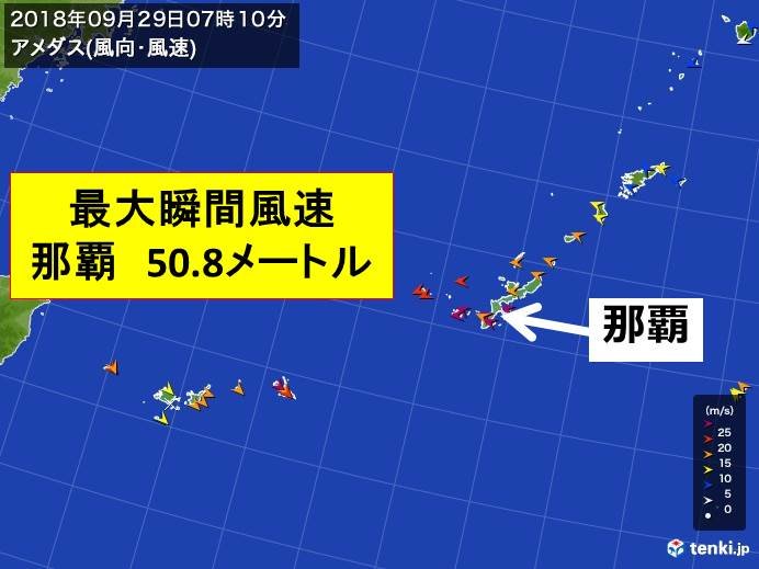 那覇で暴風　50メートル超　4年ぶり