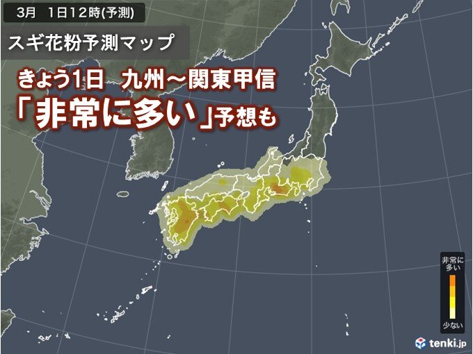 きょう1日もスギ花粉が大量飛散中