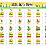 スギ花粉が大量飛散中　九州～関東は連日「非常に多い」最盛期入りも　帰宅後も対策を