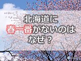 北海道に「春一番」がないのはなぜ?　「雨一番」とは?