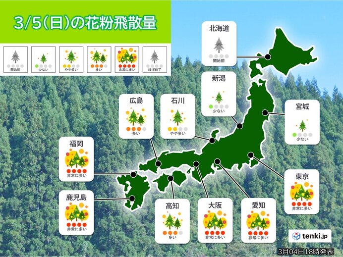 きょう5日の花粉情報　九州から関東は広く「非常に多い」　ヒノキ花粉にも注意が必要