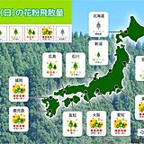 きょう5日の花粉情報　九州から関東は広く「非常に多い」　ヒノキ花粉にも注意が必要