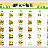 花粉大量飛散続く　スギ花粉ピークもまだ序盤　東京都内は予測最大値の5パーセント