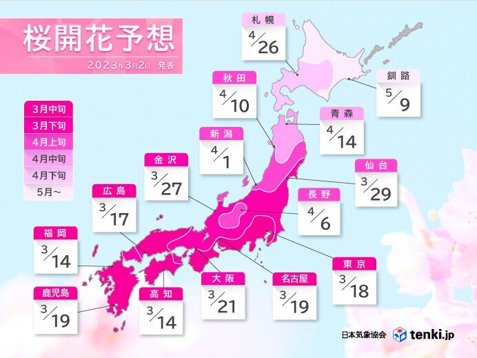 桜の開花は?