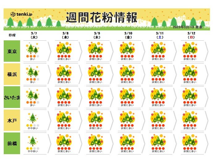 あす以降も、花粉が大量飛散
