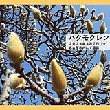 東海地方　今週は花粉に加え黄砂に注意　この先も晴天と高温傾向が続く