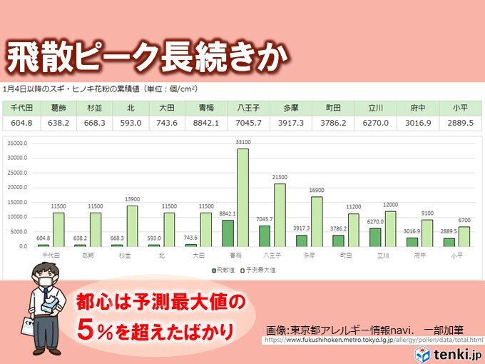 東京都心の花粉飛散量　予測最大値の5%を超えたばかり