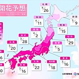 2023年桜開花予想(第4回)　開花トップは東京・福岡・高知で一週間後の16日