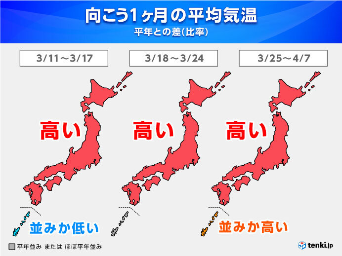 1か月予報　全国的に高温傾向　来週にも桜の便り続々と　お花見は例年以上に花粉注意