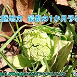 北陸　1か月予報　高温続く　雪崩や融雪による土砂災害に注意　桜の開花は早まる傾向