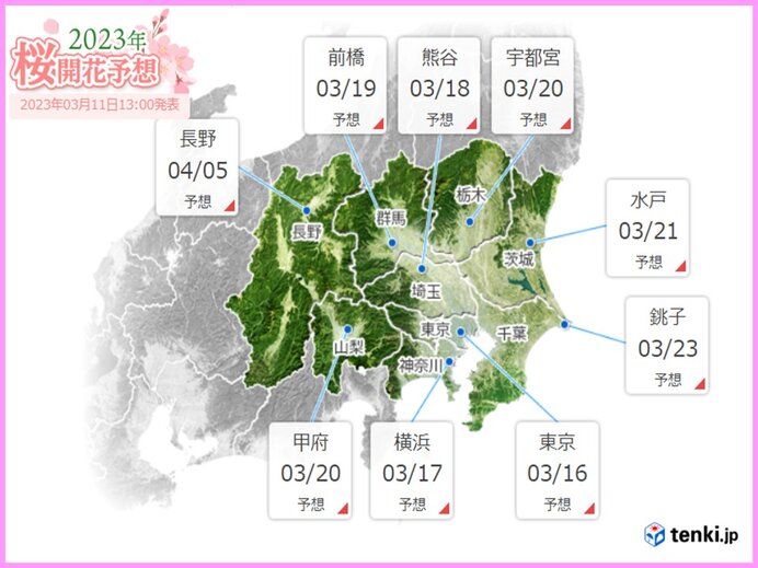 暖かさ続いて桜開花目前