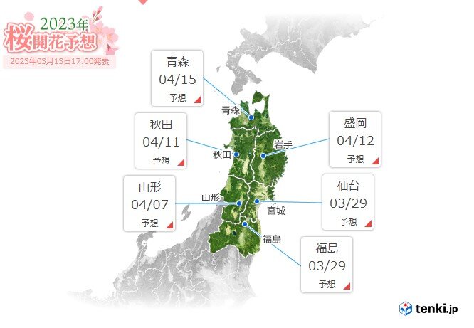 東京は本日(火)桜開花　仙台市や福島市は3月29日に開花予想