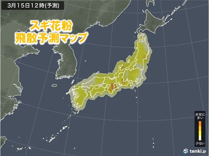 きょう15日の花粉情報　ポカポカ陽気で大量飛散　西はスギピーク終盤もヒノキ飛ぶ