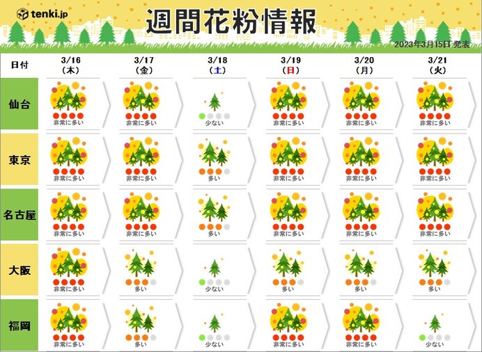 東北～九州でスギ花粉ピーク　西日本はヒノキ花粉も　雨上がりも大量飛散