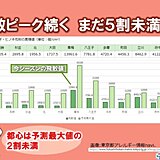 花粉大量飛散　都内の飛散量はまだ予想の5割未満　お花見も対策必須　ヒノキの飛散も