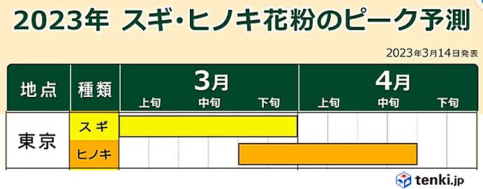 3月下旬はスギ花粉とヒノキ花粉のピーク重なる