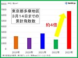 東京の花粉　ここ5年で最多　ヒノキのピーク早まり　3月下旬はスギとピーク重なる
