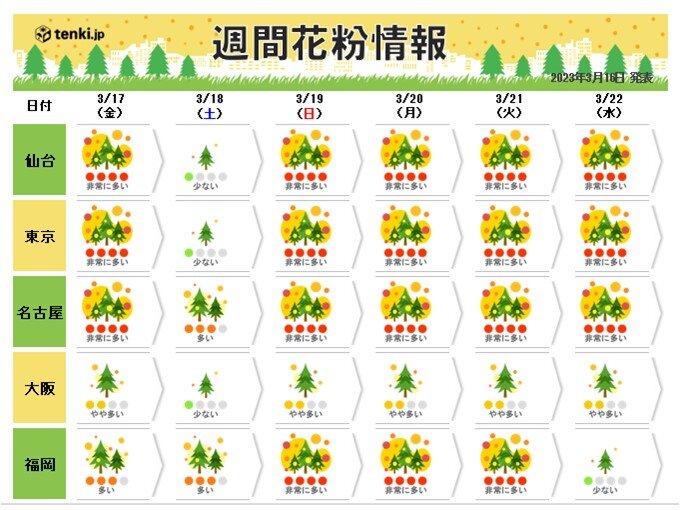 花粉が大量飛散中　18日冷たい雨で飛散は小休止　その後飛散量急増　ヒノキ増加へ