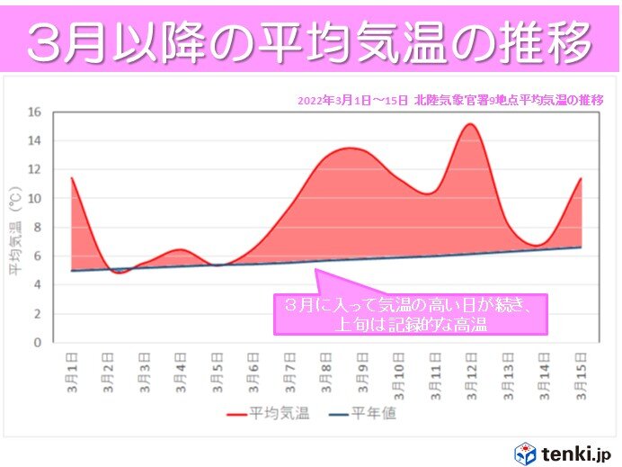 北陸桜開花予想　今年は記録的な早さ　統計開始以来最早の所も_画像