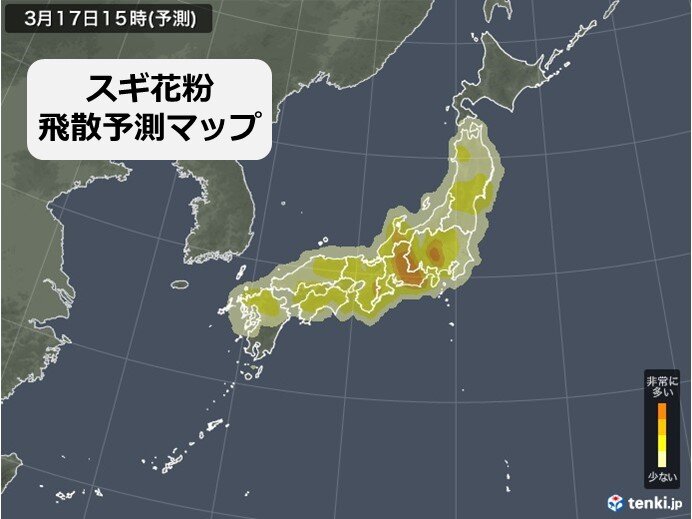 九州から東北でスギ花粉のピーク