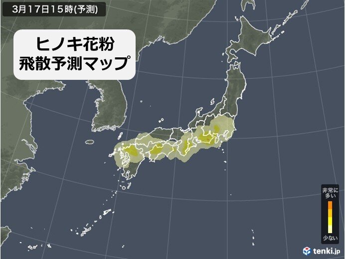 きょう17日の花粉情報　九州や東海で「非常に多い」予想　ヒノキ花粉にも注意_画像
