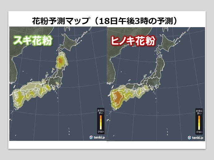 九州ではヒノキ花粉が「非常に多い」予想