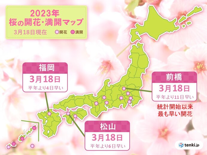 福岡や松山で桜が開花　平年より早い開花