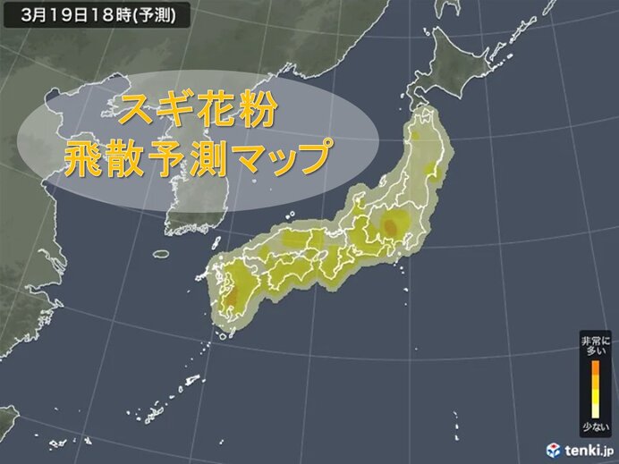 花粉情報　きょうはスギに加えてヒノキ花粉も要注意　飛散が落ち着くのはいつ?