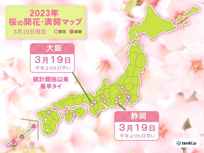 大阪と静岡で桜が開花　大阪は統計開始以来最も早い開花