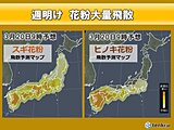花粉情報　月曜は九州～東北で大量飛散　ヒノキも増加　東京は予測飛散量まだ5割以下