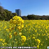 西日本や北日本は4月並みの陽気　関東も前日より大幅アップ　月曜も晴れてポカポカ