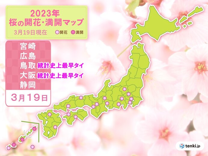 桜開花の便り続々　宮崎・鳥取・広島でも開花　各地平年より早く　鳥取は過去最早タイ