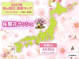 和歌山で桜開花　各地でお花見日和に　あす春分の日は天気下り坂　青空と桜が貴重に