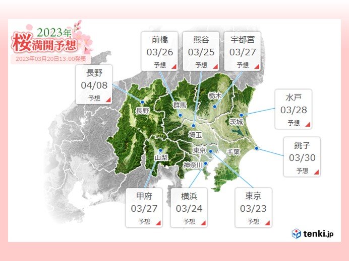 各地の桜の開花状況