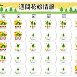 あす21日は東海や関東、東北で花粉が大量飛散予想　22日以降は雨で一旦落ち着く
