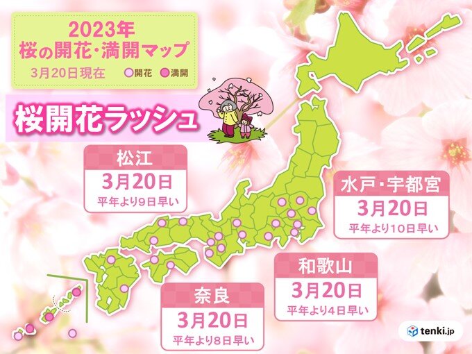 きょう20日も桜開花ラッシュ