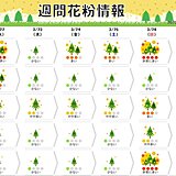 あす22日は仙台で「非常に多い」　今週後半は雨で一休みも日曜以降は再び大量飛散