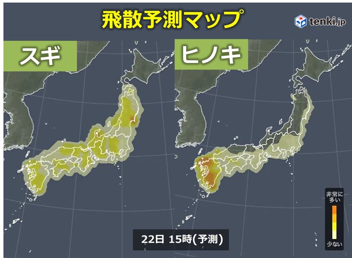 広い範囲でスギ&ヒノキ花粉が飛散