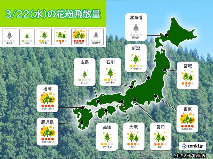 22日の花粉情報　九州や近畿から東北　「多い」～「非常に多い」　対策を万全に