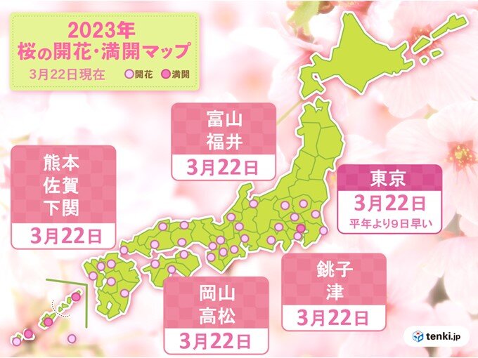 東京で桜満開　熊本・佐賀・下関・岡山・高松・津・福井・富山・銚子で桜が開花
