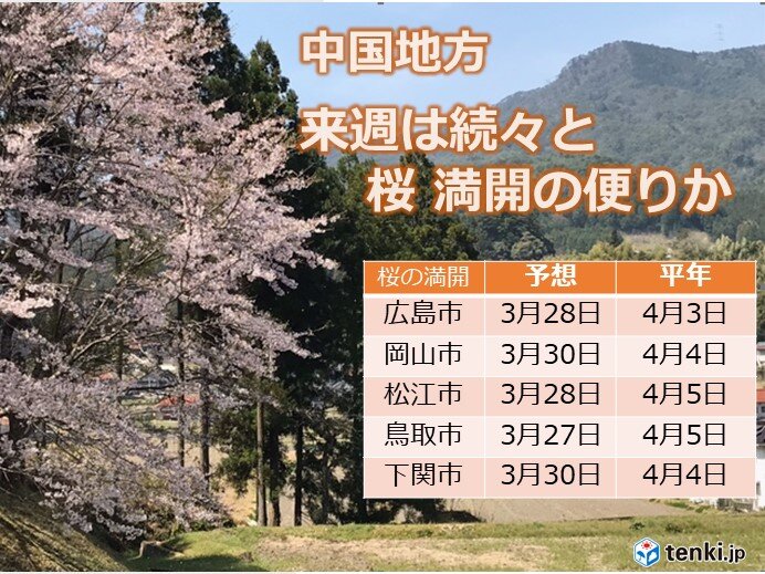 中国地方　今週末は曇りや雨　来週は桜満開の便りか　晴れるが気温はこれまでより低め