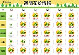 花粉情報　来週は連日「大量飛散」　九州～関東はヒノキがピーク　対策いつまで?