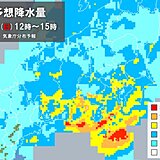 関東　あす日曜日も冷たい雨　沿岸部中心に雨・風強まる　お花見におすすめの日は?