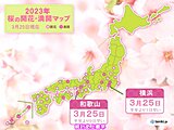 横浜と和歌山で桜満開　和歌山は統計開始以来最も早い満開に
