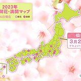 仙台で桜開花　統計開始以来最も早い　東北も続々と最早記録更新